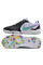 Футзалки Найк Tiempo Legend 10 Pro IC