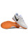 Футзалки Найк Tiempo Legend 10 Pro IC