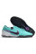 Сороконіжки Найк Tiempo Legend 10 TF