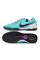 Сороконіжки Найк Tiempo Legend 10 TF