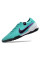 Сороконіжки Найк Tiempo Legend 10 TF