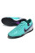 Сороконіжки Найк Tiempo Legend 10 TF