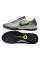 Сороконіжки Найк Tiempo Legend 10 TF