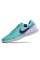 Сороконіжки Найк Tiempo Legend 10 TF