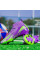 Бутси Не Бренд Tezaz Soft Ground