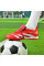 Сороконіжки Не Бренд Poraetor Turf Ground