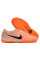 Сороконіжки Найк Tiempo Legend 10 TF