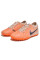 Сороконіжки Найк Tiempo Legend 10 TF