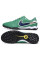 Сороконіжки Найк Tiempo Legend 10 TF