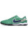 Сороконіжки Найк Tiempo Legend 10 TF