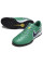 Сороконіжки Найк Tiempo Legend 10 TF