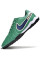 Сороконіжки Найк Tiempo Legend 10 TF