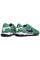 Сороконіжки Найк Tiempo Legend 10 TF