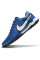 Сороконіжки Найк Tiempo Legend 10 TF