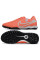 Сороконіжки Найк Tiempo Legend 10 TF