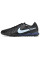 Сороконіжки Найк Tiempo Legend 10 TF