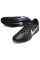 Сороконіжки Найк Tiempo Legend 10 TF