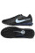 Сороконіжки Найк Tiempo Legend 10 TF