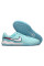 Сороконіжки Найк Tiempo Legend 10 TF