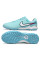 Сороконіжки Найк Tiempo Legend 10 TF