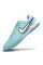 Сороконіжки Найк Tiempo Legend 10 TF