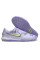 Сороконіжки Найк Tiempo Legend 10 TF