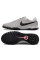 Сороконіжки Найк Tiempo Legend 10 TF