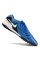 Сороконіжки Найк Tiempo Legend 10 TF