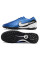 Сороконіжки Найк Tiempo Legend 10 TF