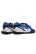 Сороконіжки Найк Tiempo Legend 10 TF