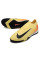 Сороконіжки Найк Air Zoom Vapor XV TF