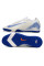 Сороконіжки Найк Air Zoom Vapor XV TF