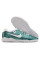 Сороконіжки Найк Tiempo Legend 10 TF
