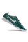 Сороконіжки Найк Tiempo Legend 10 TF