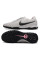 Сороконіжки Найк Tiempo Legend 10 TF