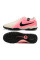 Сороконіжки Найк Tiempo Legend 10 TF