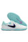 Сороконіжки Найк Tiempo Legend 10 TF