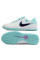 Сороконіжки Найк Tiempo Legend 10 TF