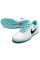 Сороконіжки Найк Tiempo Legend 10 TF