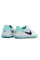 Сороконіжки Найк Tiempo Legend 10 TF