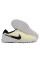 Сороконіжки Найк Tiempo Legend 10 TF