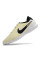 Сороконіжки Найк Tiempo Legend 10 TF