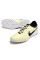 Сороконіжки Найк Tiempo Legend 10 TF