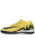 Сороконіжки Найк Air Zoom Vapor XV TF