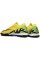 Сороконіжки Найк Air Zoom Vapor XV TF
